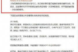 紫金遇到恶意拖欠？专业追讨公司帮您解决烦恼